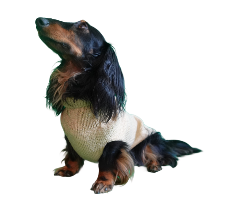 Ogust, Médiateur Câlin